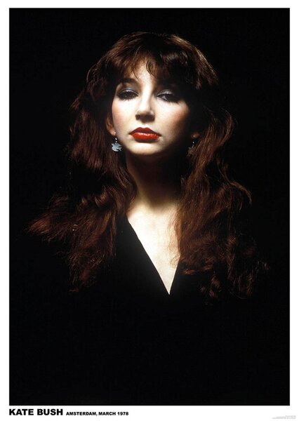 Plakat, Obraz Kate Bush - Amsterdam 1978