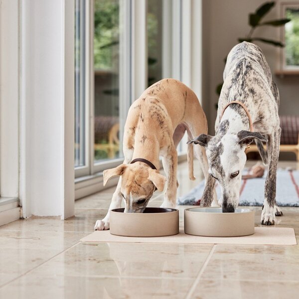 Miska dla psów ceramiczna ø 13 cm Sia – OYOY Living Design