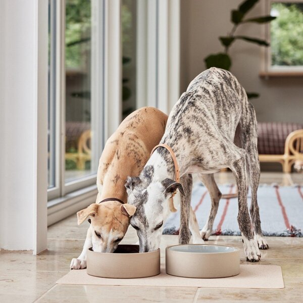 Miska dla psów ceramiczna ø 13 cm Sia – OYOY Living Design