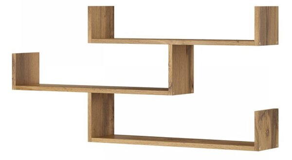 Półki Cygni 003