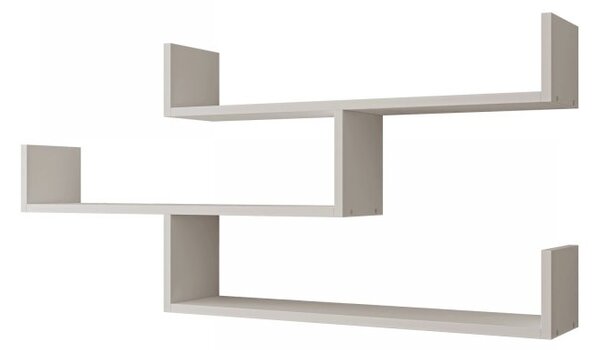 Półki Cygni 003