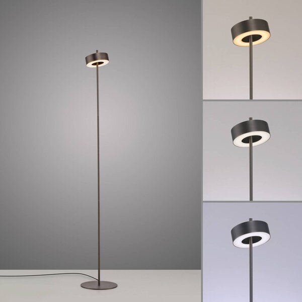 Q-Smart-Home Paul Neuhaus Lampa stojąca LED Q-Rotate ciemnobrązowa 140 cm Q-Rotate, możliwość ściemniania, brązowy / rdzawy, salon / jadalnia, aluminium, nowoczesny