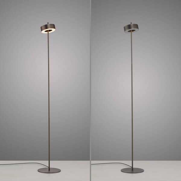 Q-Smart-Home Paul Neuhaus Lampa stojąca LED Q-Rotate ciemnobrązowa 140 cm Q-Rotate, możliwość ściemniania, brązowy / rdzawy, salon / jadalnia, aluminium, nowoczesny