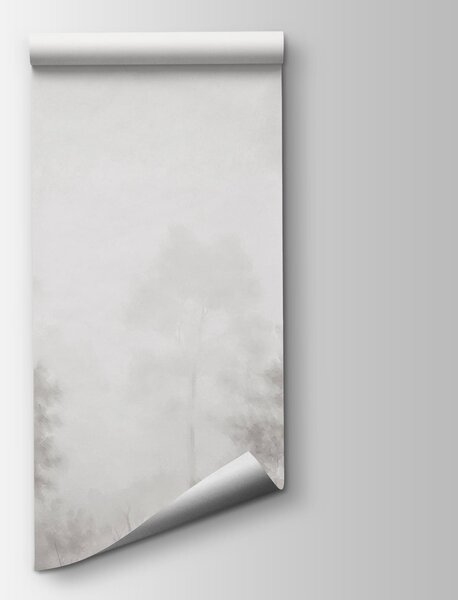 Fototapeta Zamglony las z drzewami, Fototapety Natura, Popularne Fototapety, t00721v1 - Tapeko.pl