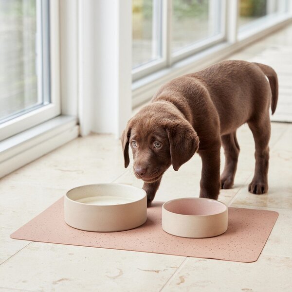 Miska dla psów ceramiczna ø 13 cm Sia – OYOY Living Design