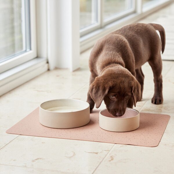 Miska dla psów ceramiczna ø 13 cm Sia – OYOY Living Design